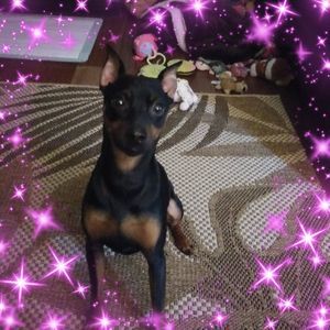 Meet your Posher, Roseanna